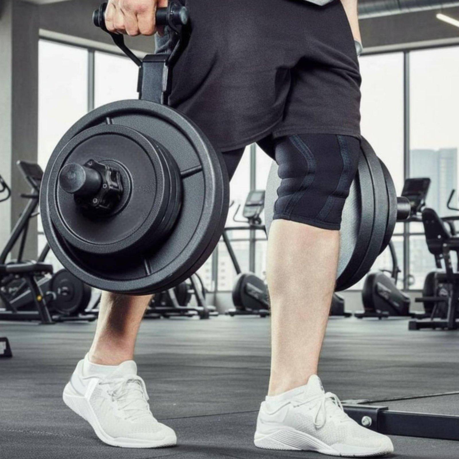 Multi-size Barbell Plate Holde - Home Gym Gym 评论和价格