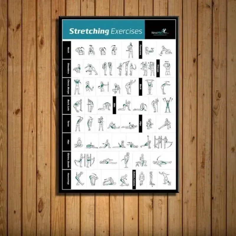 Body Exercise Training Chart G - Home Gym Minimalist 评论和价格