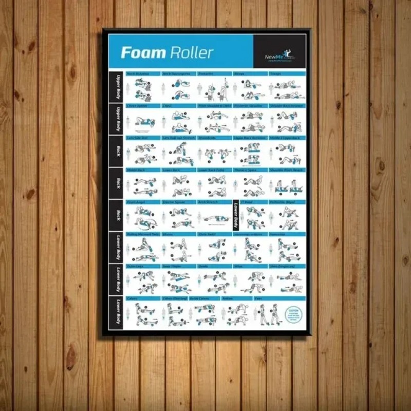 Body Exercise Training Chart G - Home Gym Minimalist 评论和价格