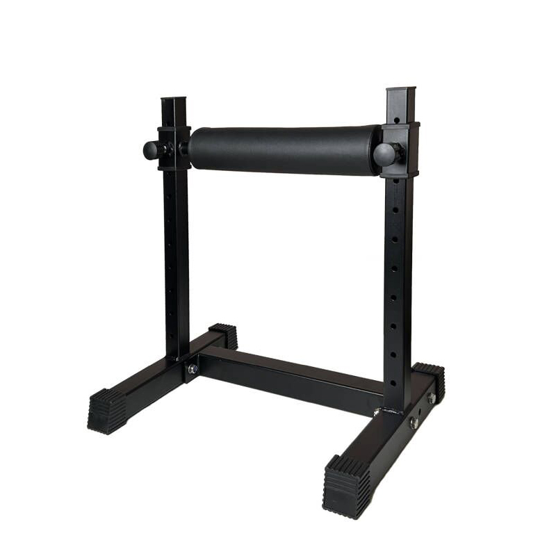 Adjustable Single Leg Squat St - Home Gym Design 评论和价格