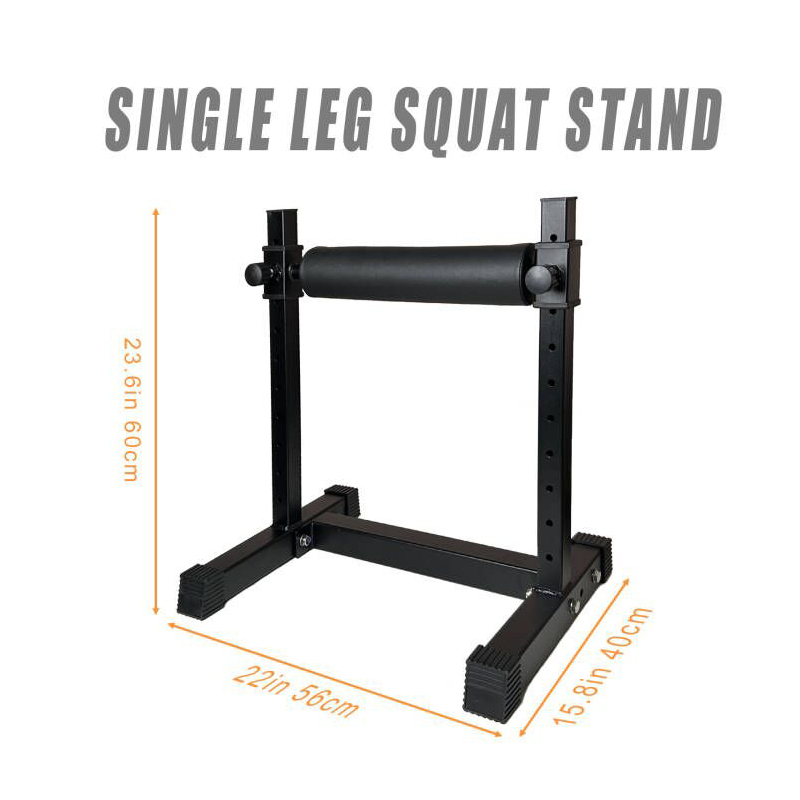 Adjustable Single Leg Squat St - Home Gym Design 评论和价格