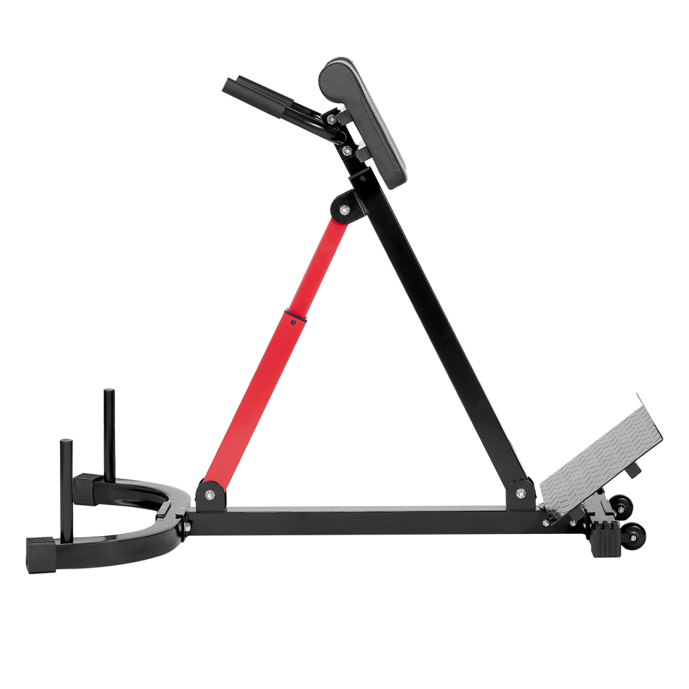 Roman Chair Hyperextension Ben - Home Gym Hamstring Exercises 评论和价格