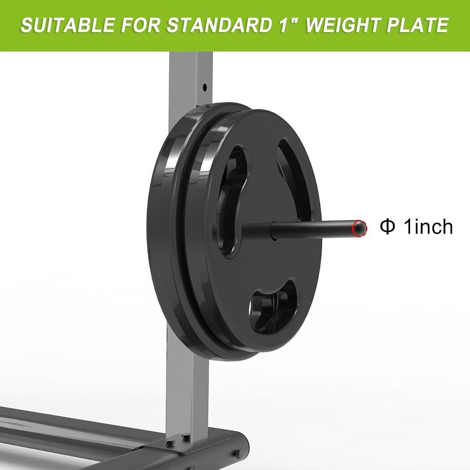 Space Saving Barbell Plate Han - Home Gym Youtube 评论和价格