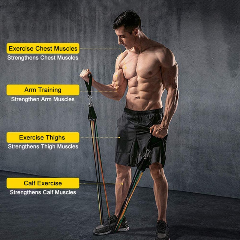 Resistance Elastic Bands Exerc - Home Gym Resistance Machine 评论和价格